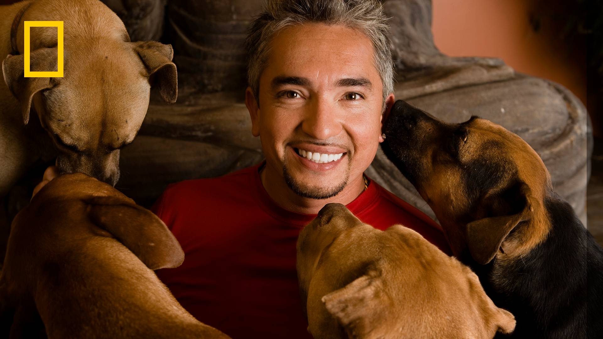 Cesar Millan